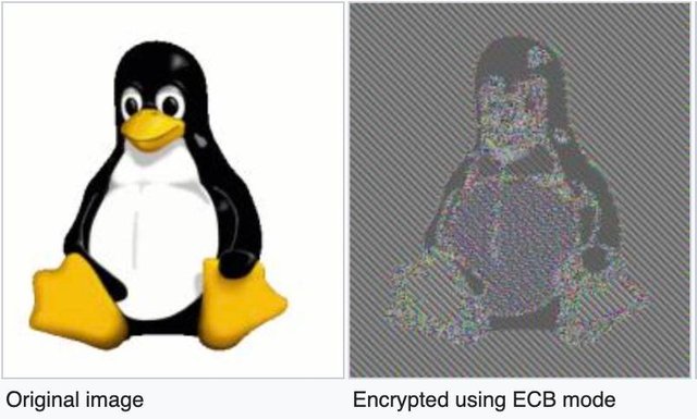 Citizen Lab: AES-ECB mode encryption
