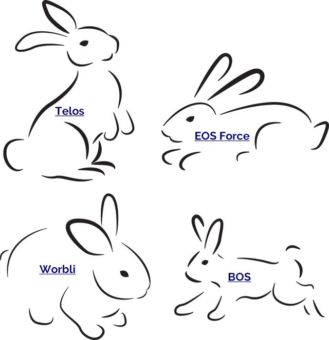 rabbits