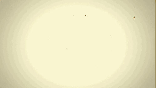the power of an idea