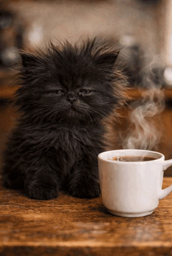 untitled.gif