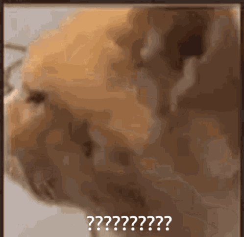 untitled.gif