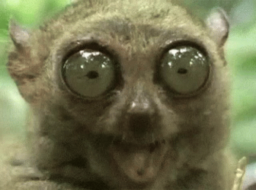 untitled.gif