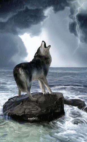 untitled.gif