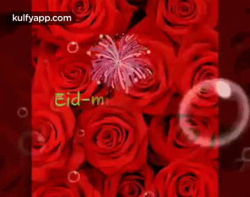 untitled.gif
