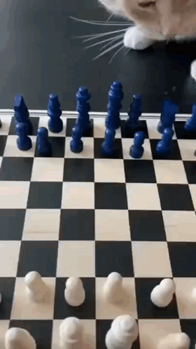 untitled.gif