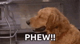 untitled.gif