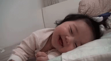 untitled.gif