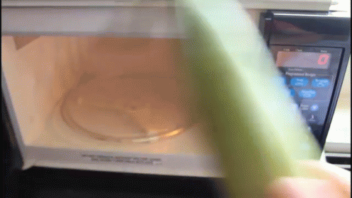 untitled.gif