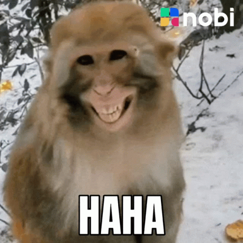 untitled.gif