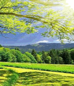 untitled.gif