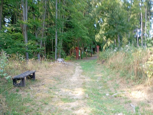 IMG_20260816_155134082_MFNR.jpg