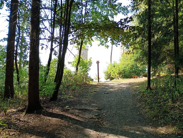 IMG_20260816_155327394_MFNR.jpg