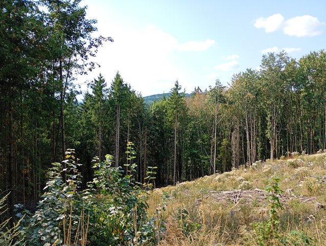 IMG_20260816_155448610_MFNR.jpg