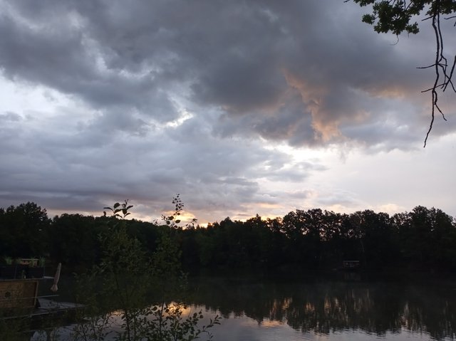 IMG_20260829_063100.jpg