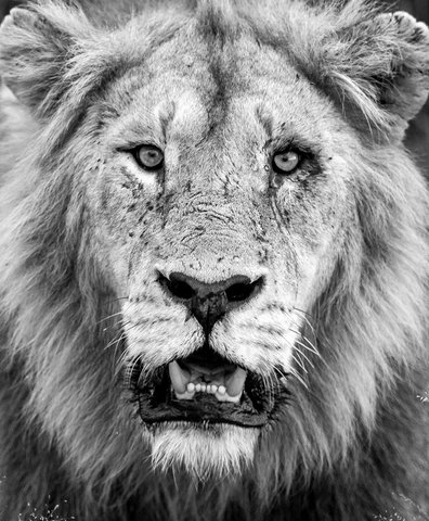 featured