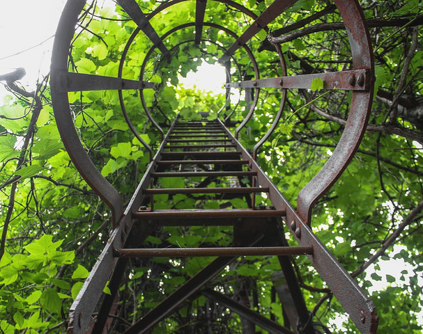 featured