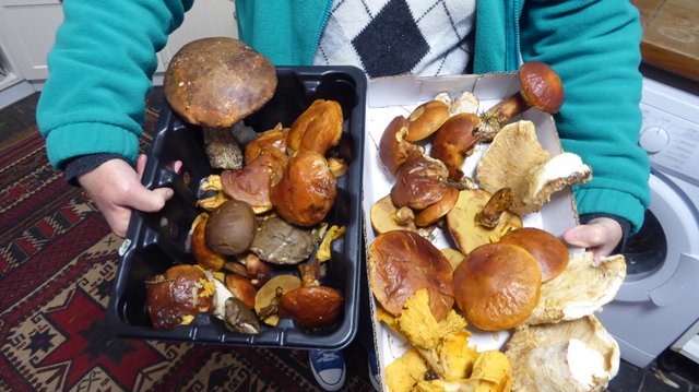 featured