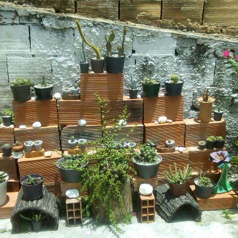 featured