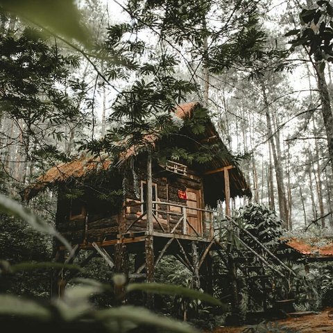 featured