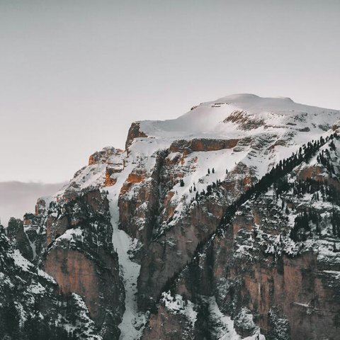 featured