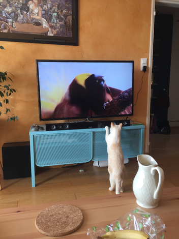 featured