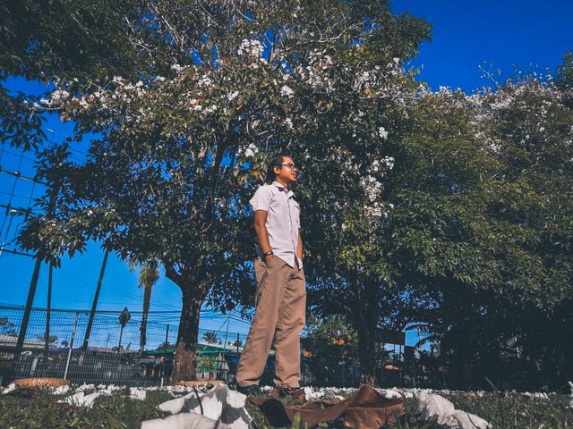 featured