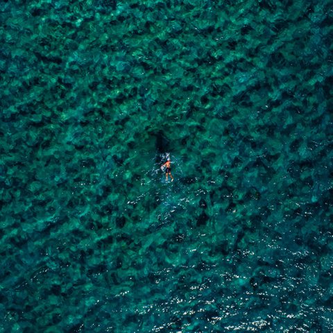 featured