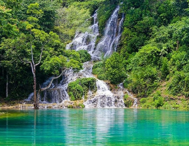featured