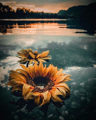 featured