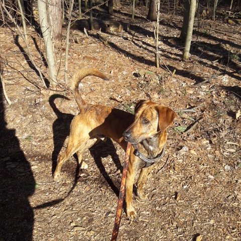 featured