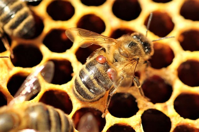 featured