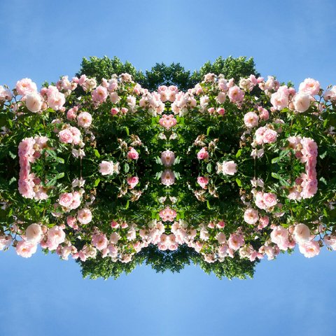 featured
