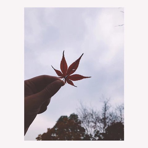 featured