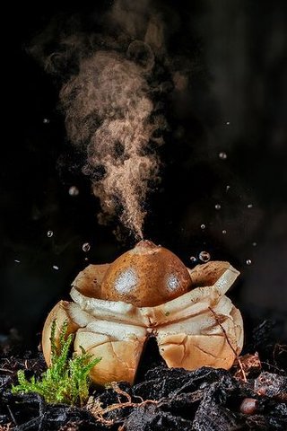 featured