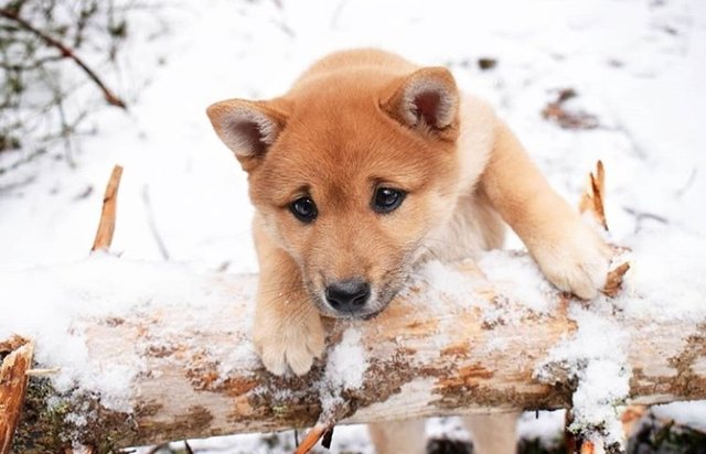 featured