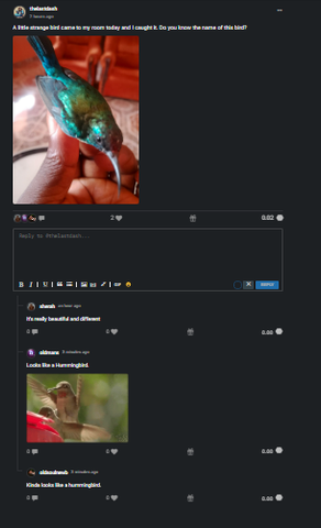 featured