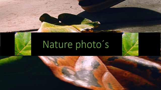 featured