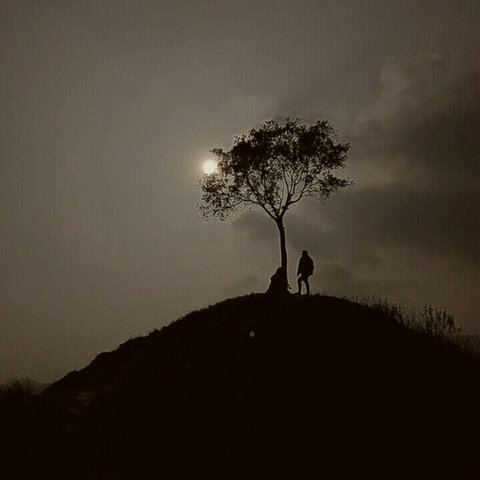 featured