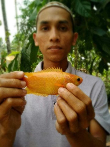 featured