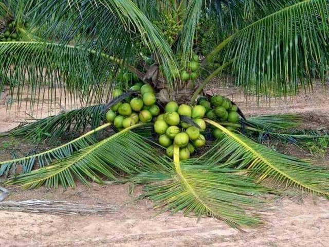 featured