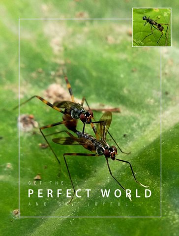 featured