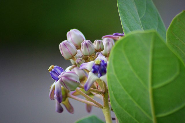 featured
