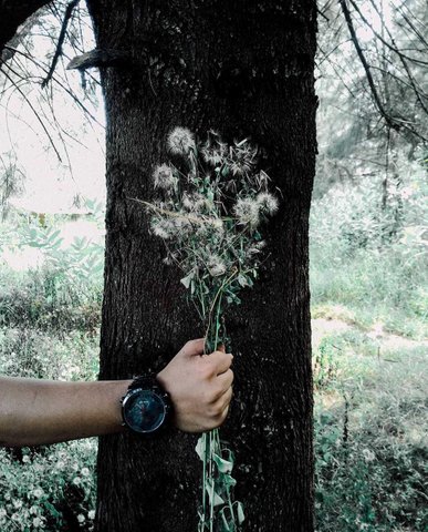 featured