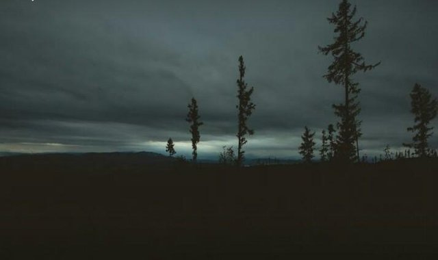 featured