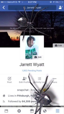 featured
