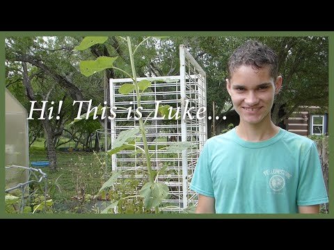 featured