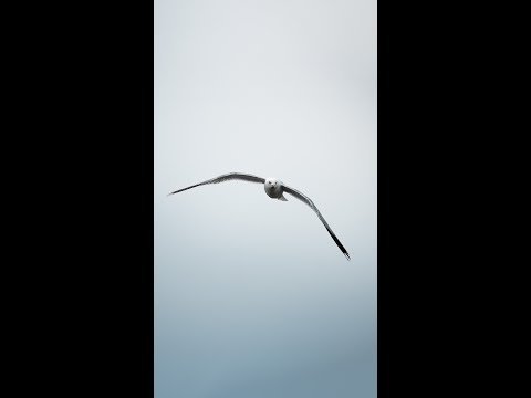 featured
