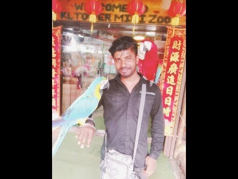 featured