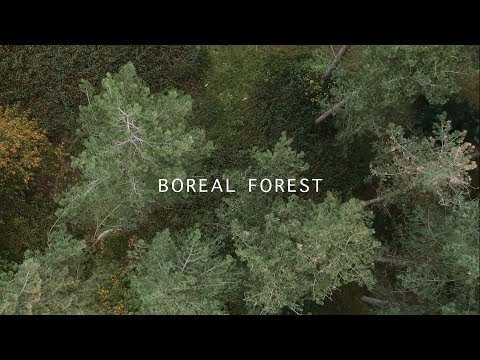 featured