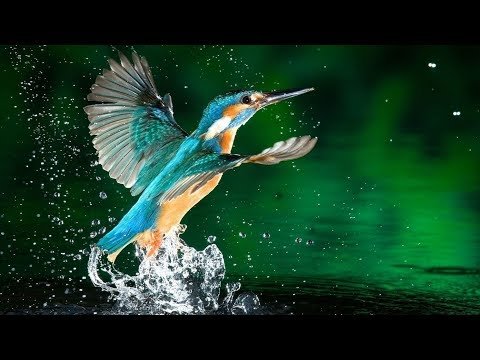 featured